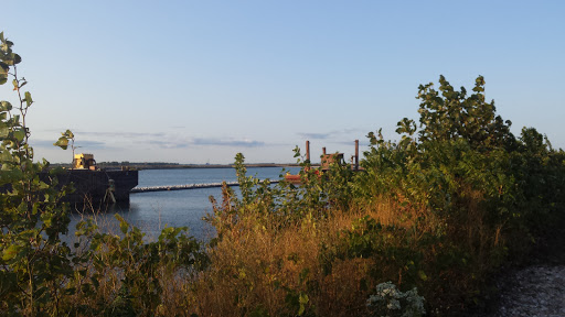 Golf Course «Thorne Brothers at Lilac Golf Course», reviews and photos, 9090 Armstrong Rd, Newport, MI 48166, USA