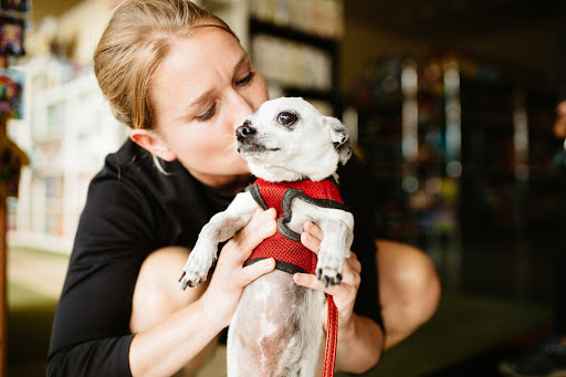 Pet Supply Store «Sellwood Pet Supply», reviews and photos, 8334 SE 17th Ave, Portland, OR 97202, USA