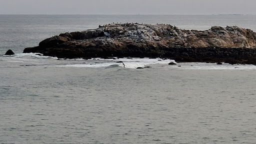 Museum «Hammond Castle Museum», reviews and photos, 80 Hesperus Ave, Gloucester, MA 01930, USA