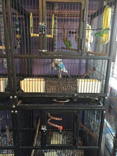 Pet Store «Animal House», reviews and photos, 7869 Hamilton Ave, Cincinnati, OH 45231, USA