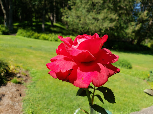 Historical Place «Marsh-Billings-Rockefeller National Historical Park», reviews and photos, 54 Elm St, Woodstock, VT 05091, USA