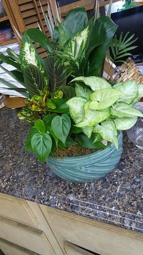 Jones Flowers, Inc., 1171 Cascade Rd SW, Atlanta, GA 30311, USA, 