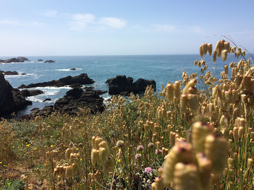 General Store «Ocean Cove General Store», reviews and photos, 23125 CA-1, Jenner, CA 95450, USA