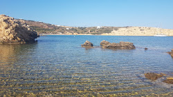 Paralia'in fotoğrafı vahşi alan