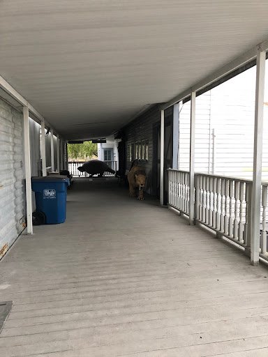 Museum «Phosphate Museum», reviews and photos, 101 SE 1st St, Mulberry, FL 33860, USA