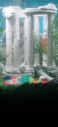 Pet Supply Store «Pet Supermarket», reviews and photos, 3821 S Cobb Dr, Smyrna, GA 30080, USA