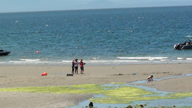 Halfmoon Haven Beachfront Retreat and Spa