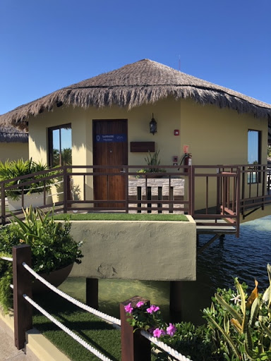 Travel Agency «Brookside Travel LLC», reviews and photos, 1045 Novi Rd, Northville, MI 48167, USA