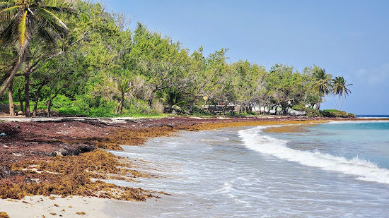 Bath beach