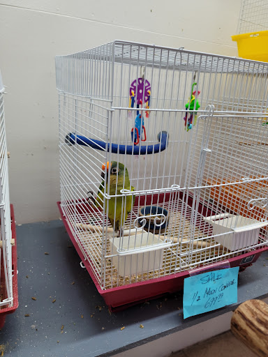 Pet Store «Animart Pets», reviews and photos, 2813 Veterans Memorial Hwy SW, Austell, GA 30168, USA
