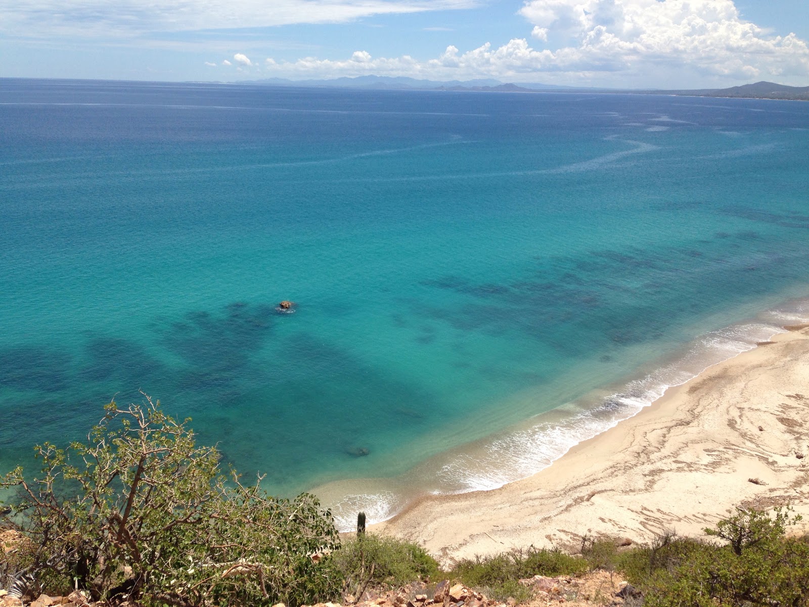 Playa Palo Blanquito'in fotoğrafı geniş plaj ile birlikte