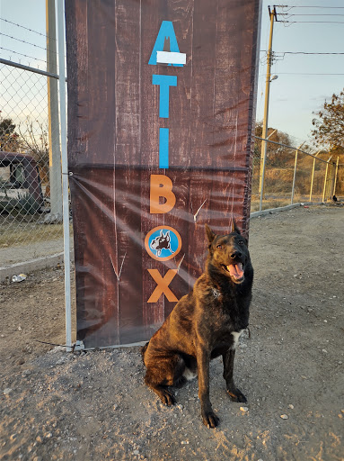 Atibox Escuela De Adiestramiento Canino