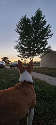 Pet Store «Anchor Bay Aquarium», reviews and photos, 36457 Alfred St, New Baltimore, MI 48047, USA