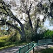 Upper Tampa Bay Trail Parking (Wilsky)