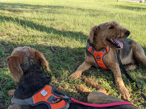 Park «Pendleton Park», reviews and photos, 1427 Morgan Blvd, Harlingen, TX 78550, USA