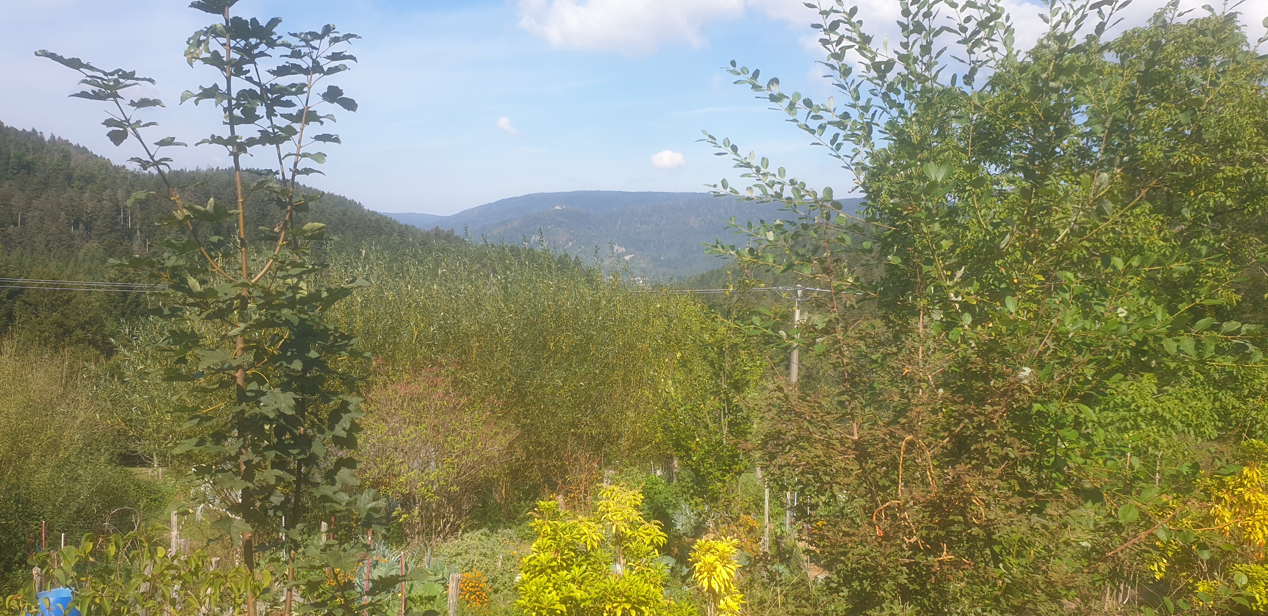 Photo n° 1 de l'avis de Steeve.a fait le 02/09/2022 à 11:29