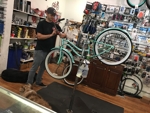 Sporting Goods Store «Shore Cycling Sports», reviews and photos, 607 Mantoloking Rd, Brick, NJ 08723, USA
