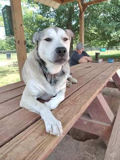 Dog Park «Murfreesboro Bark Park», reviews and photos, 1540 W College St, Murfreesboro, TN 37130, USA
