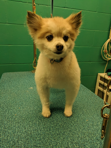 Pet Supply Store «Bubbles2biscuits», reviews and photos, 21897 S Diamond Lake Rd, Rogers, MN 55374, USA