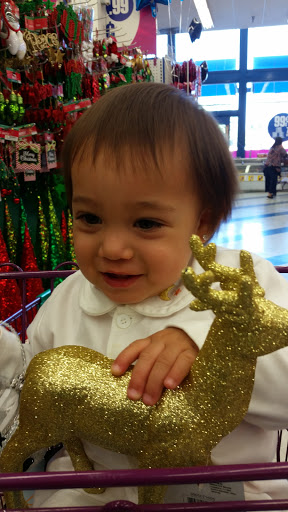 Discount Store «99 Cents Only Stores», reviews and photos, 140 E Duarte Rd, Arcadia, CA 91006, USA