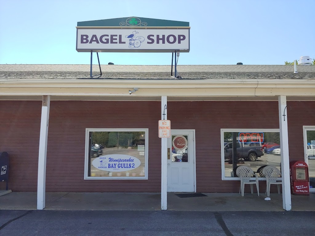 Winnipesaukee Bay Gulls 2 03249