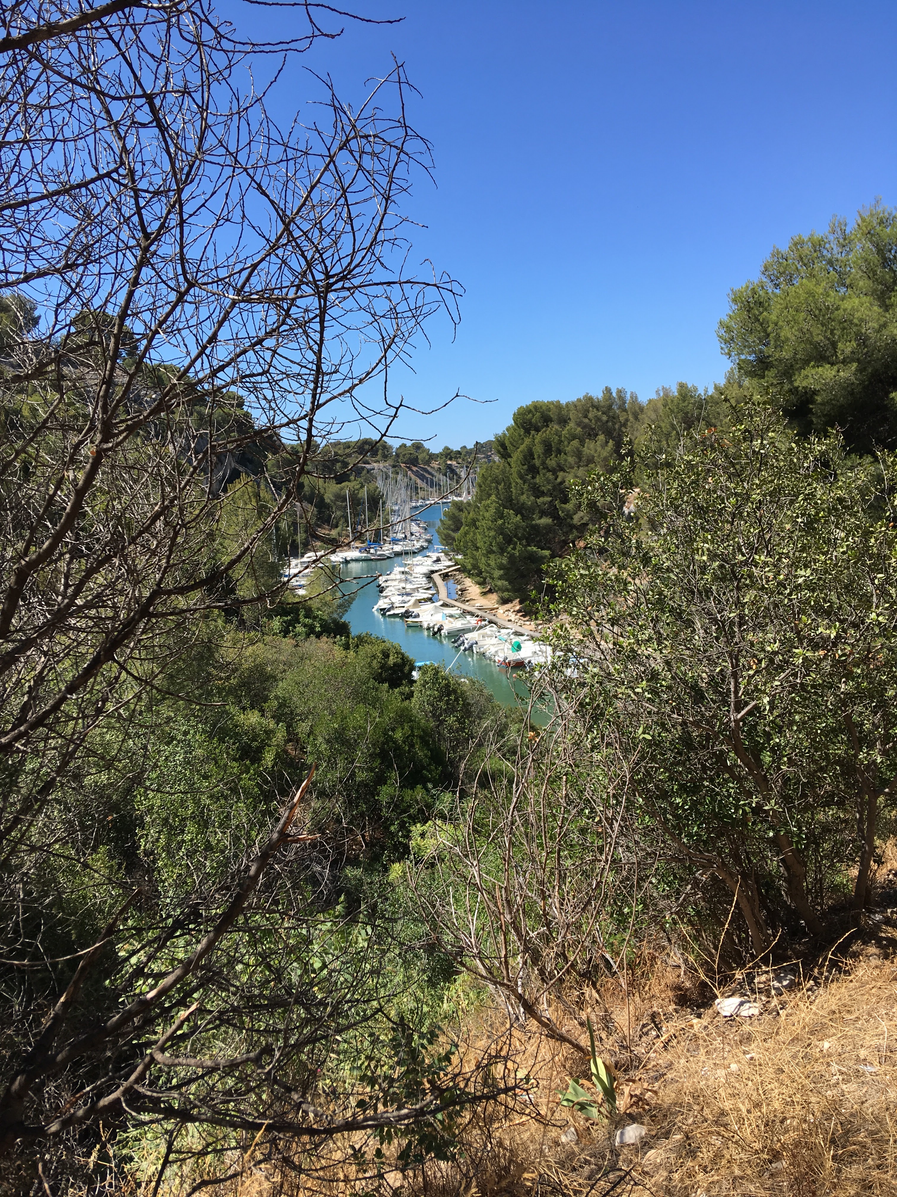 Photo n° 3 de l'avis de clémence.B fait le 30/07/2018 à 07:27