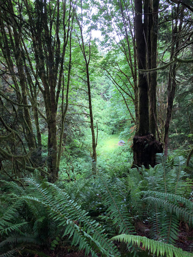 Tourist Attraction «Preston-Snoqualmie Trail Head parking», reviews and photos, Preston-Snoqualmie Trail, Fall City, WA 98024, USA