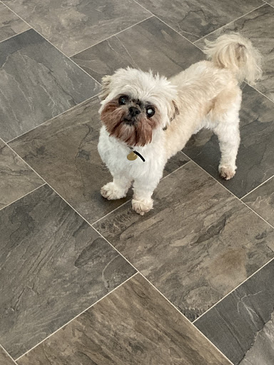 Pet Supply Store «Pet Supplies Plus», reviews and photos, 3820 Milan Rd, Sandusky, OH 44870, USA