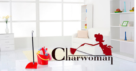 Home Cleaning Services Charwoman Agencia de Domesticas