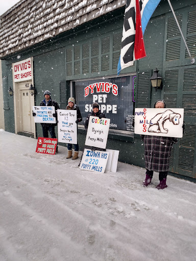 Pet Store «Dyvigs Pet Shoppe», reviews and photos, 412 Burnett Ave, Ames, IA 50010, USA