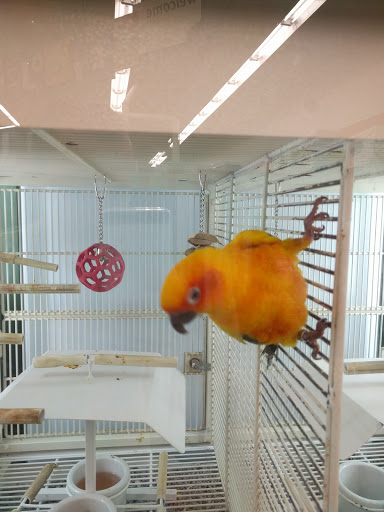 Pet Supply Store «Petco Animal Supplies», reviews and photos, 217 Oak Lee Dr #16, Ranson, WV 25438, USA