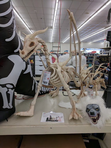 Discount Store «Big Lots», reviews and photos, 2445 Nashville Rd, Bowling Green, KY 42101, USA