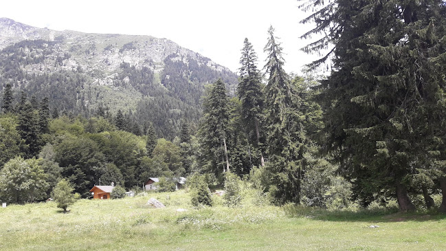 Opinii despre При Чичо Киро în Кюстендил - Ресторант