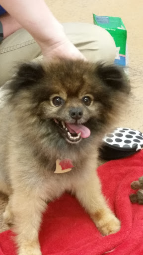 Pet Supply Store «PetSmart», reviews and photos, 2801 Pine Lake Rd, Lincoln, NE 68516, USA