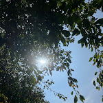 Photo n°1 de l'avis de Jaggu.o fait le 13/09/2023 à 16:25 sur le  Zollenspieker Fährhaus Hamburg à Hamburg