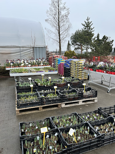 Centrum Ogrodnicze Limba