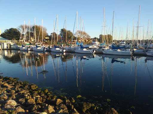 Dollar Store «Dollar Tree», reviews and photos, 11555 San Pablo Ave, El Cerrito, CA 94530, USA