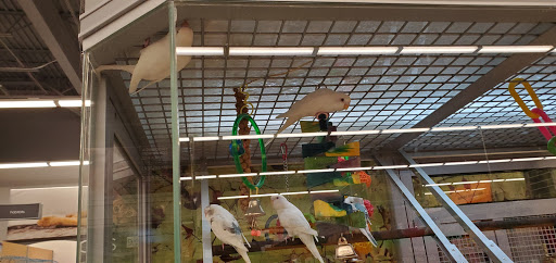 Pet Store «PetSmart», reviews and photos, 267 Berlin Turnpike, Berlin, CT 06037, USA