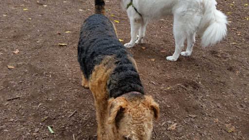 Pet Supply Store «PetSmart», reviews and photos, 9970 Sowder Village Square, Manassas, VA 20109, USA