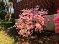 BAM'S Landscaping - Photo 7 - Car repair in Kensington, MD, Washington