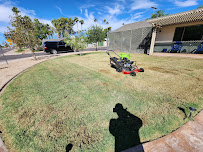 Julio Tree Care & Landscaping