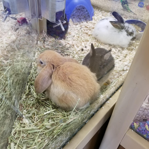 Pet Supply Store «Pet Supermarket, Inc.», reviews and photos, 9579 Bill Arp Rd #21, Douglasville, GA 30135, USA