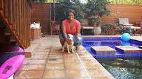 Kat's K9 City Pet Services - Photo 9 - Car repair in Northridge, CA, Santa Clarita