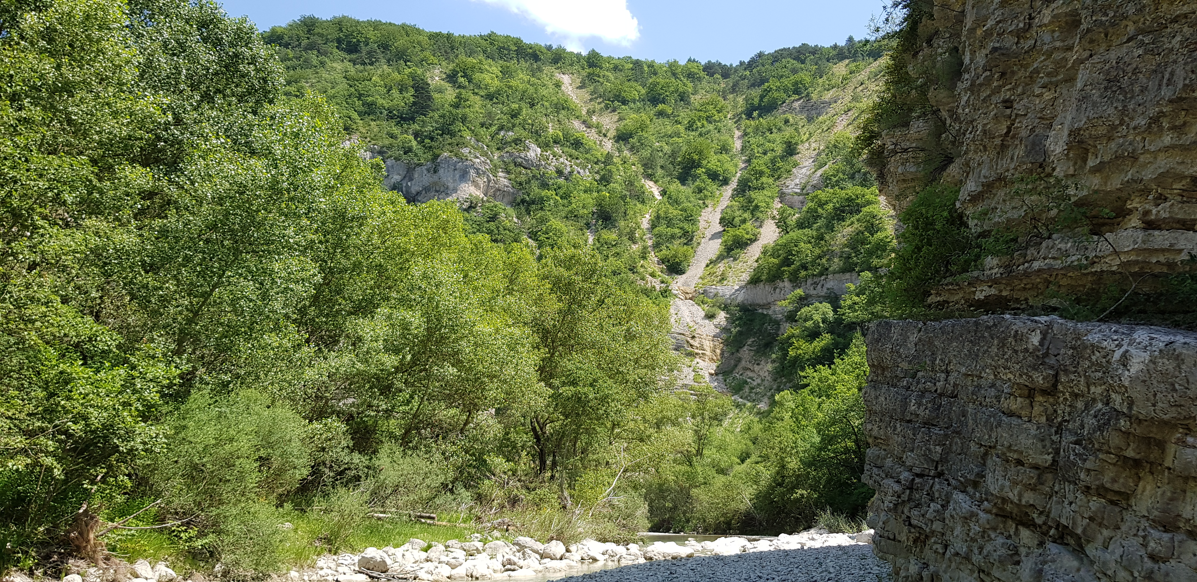 Photo n° 39 de l'avis de Radouane.e fait le 06/07/2019 à 20:52