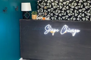 Shape Chicago Inc. image