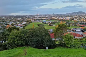 Mt Albert Domain image