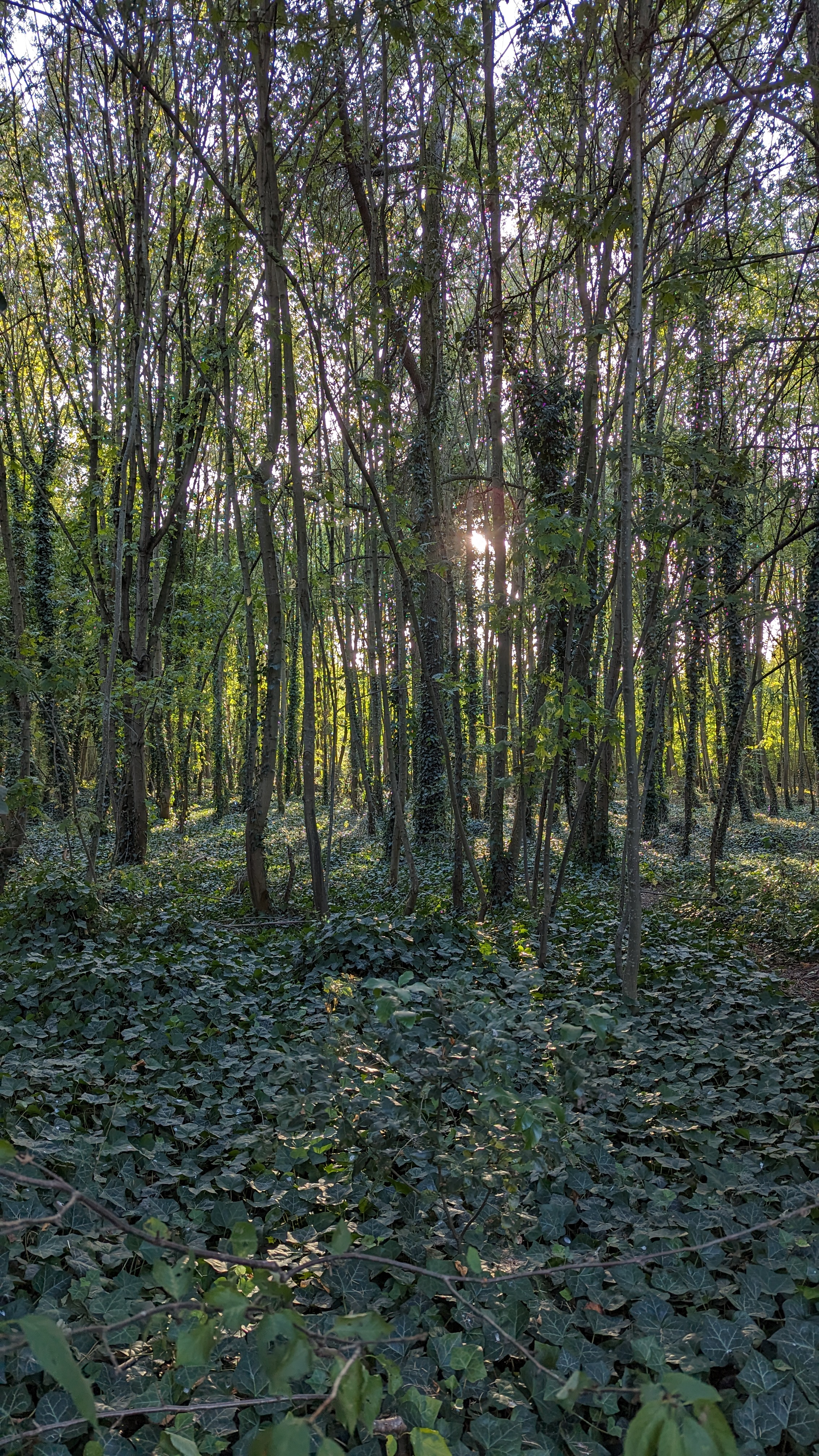 Photo n° 14 de l'avis de Alessandro.t fait le 09/03/2024 à 01:48