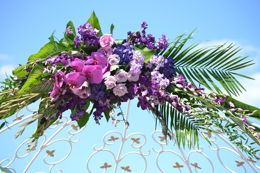 Florist «Park Florist», reviews and photos, 6921 Laurel Ave, Takoma Park, MD 20912, USA