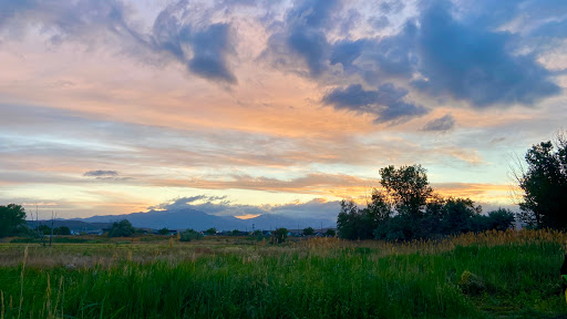 Drug Store «Walgreens», reviews and photos, 423 N Santa Cruz Ave, Los Gatos, CA 95030, USA