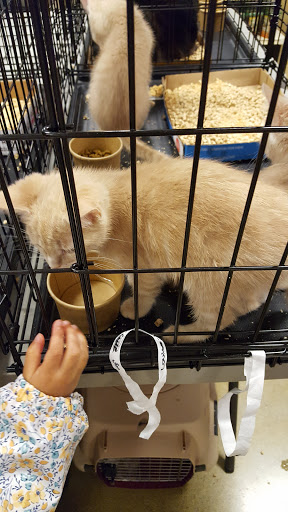 Pet Supply Store «PetSmart», reviews and photos, 181 Wilson Ave, Hanover, PA 17331, USA